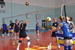 dinamo_01_res