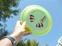 fresbe